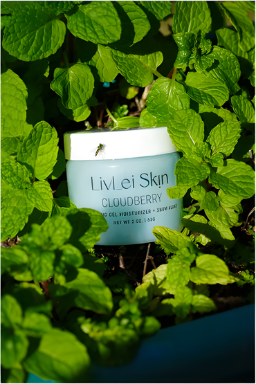 Cloudberry Hydrating Gel Moisturizer + Snow Algae